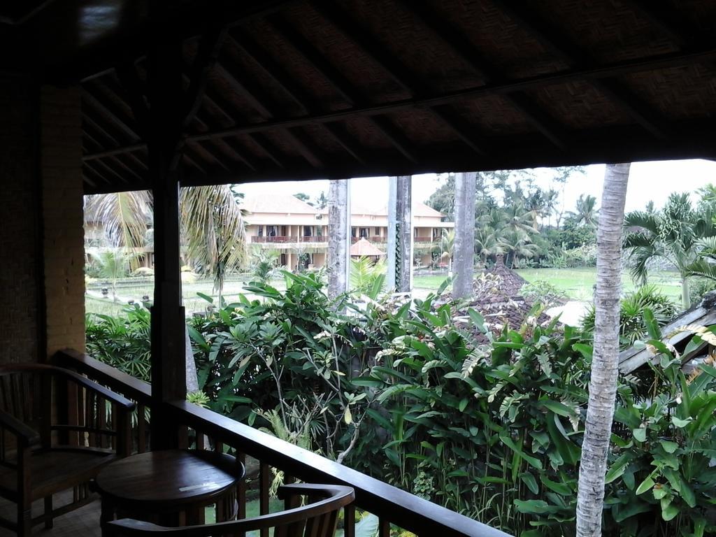 Guest house Rice Paddy Bungalow