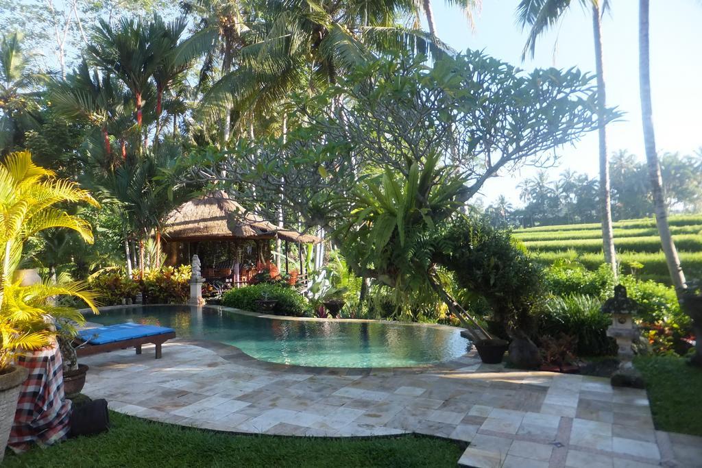 Orchid Bali *