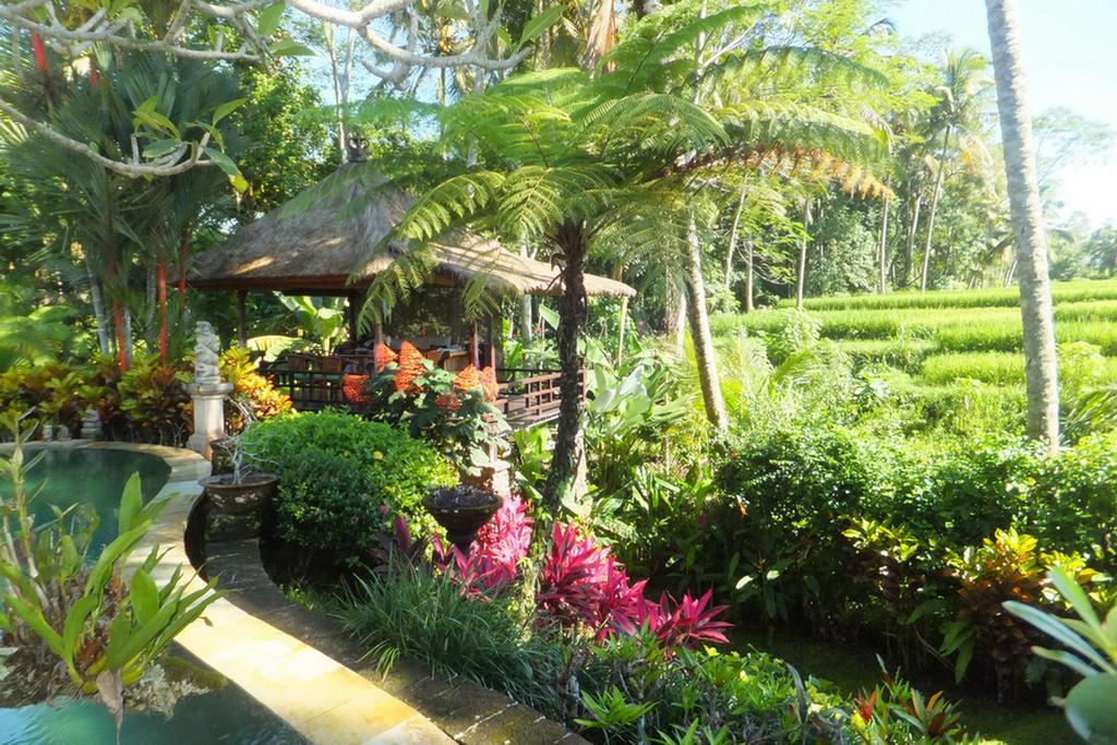 Orchid Bali