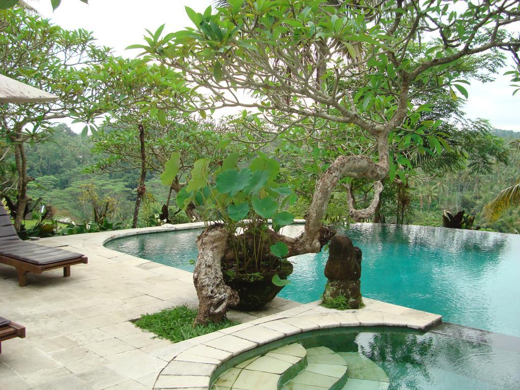 Sayan Terrace Ubud (Bali)