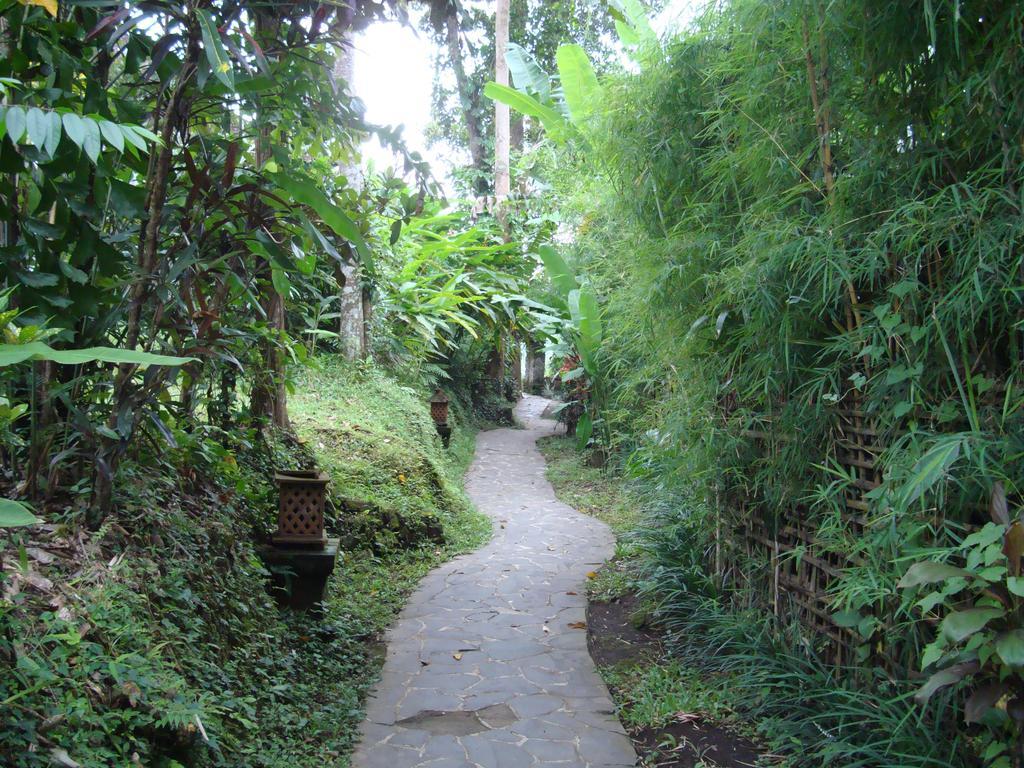 Sayan Terrace Resort