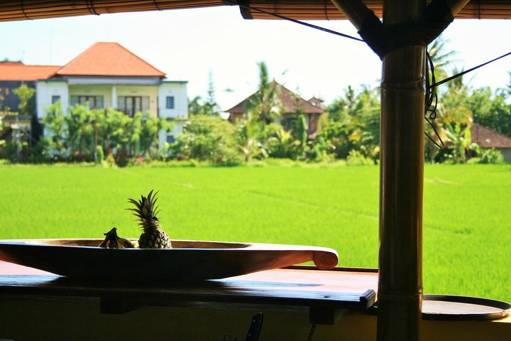 The Happy Mango Tree Ubud (Bali)
