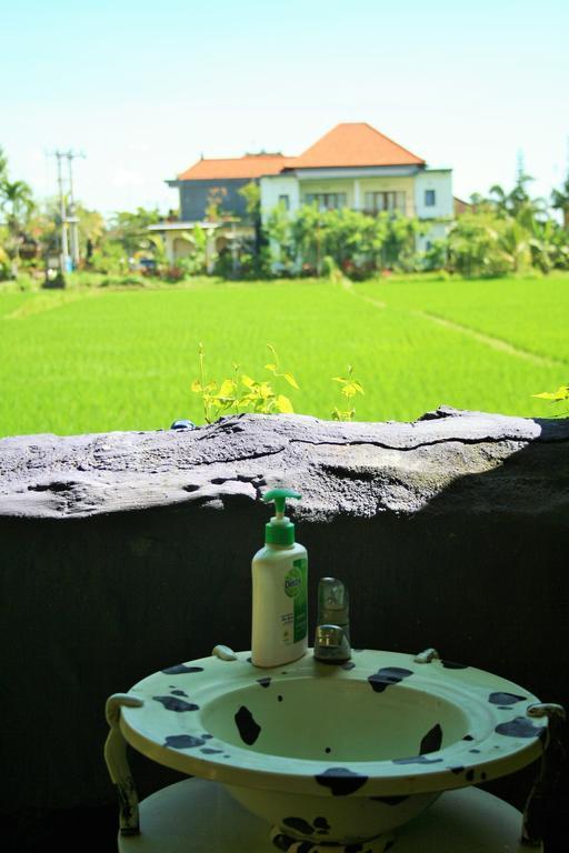 Hostel The Happy Mango Tree