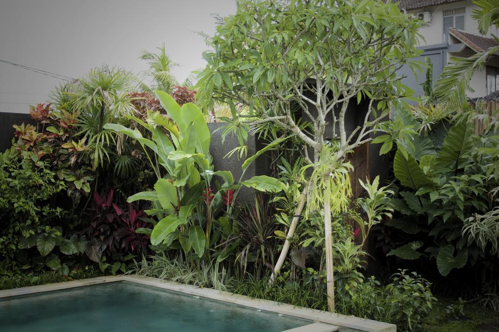 Dugul Villa *