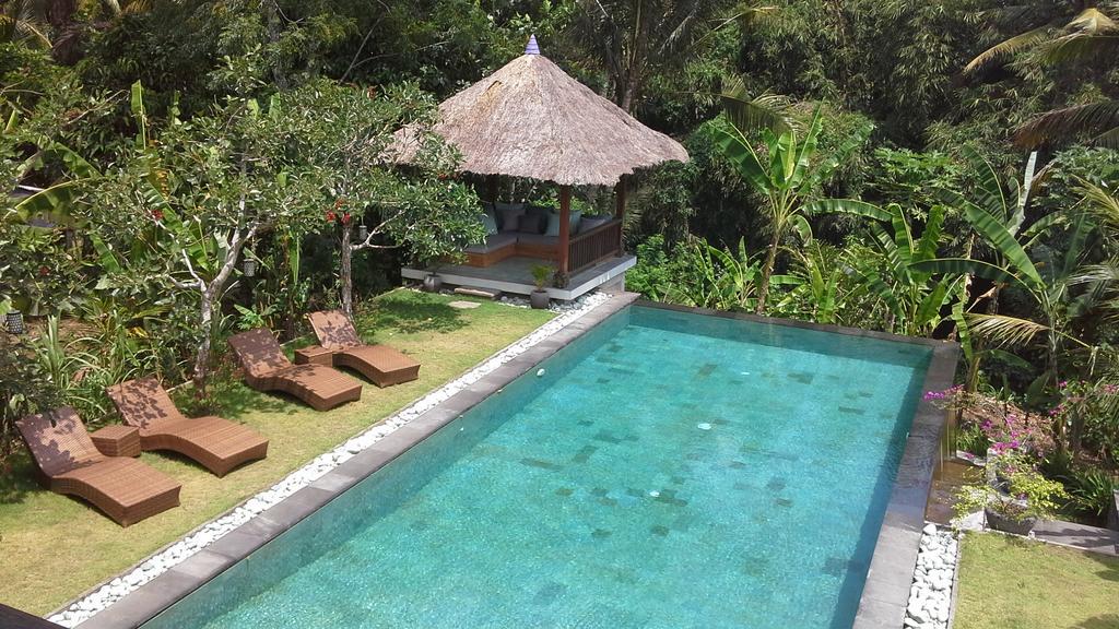 Viola * Ubud (Bali)