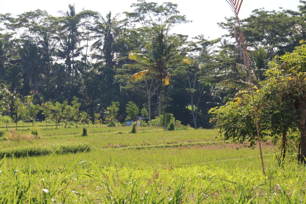 Pesantian Villa&warung By Ecommerceloka Gasthof 4*