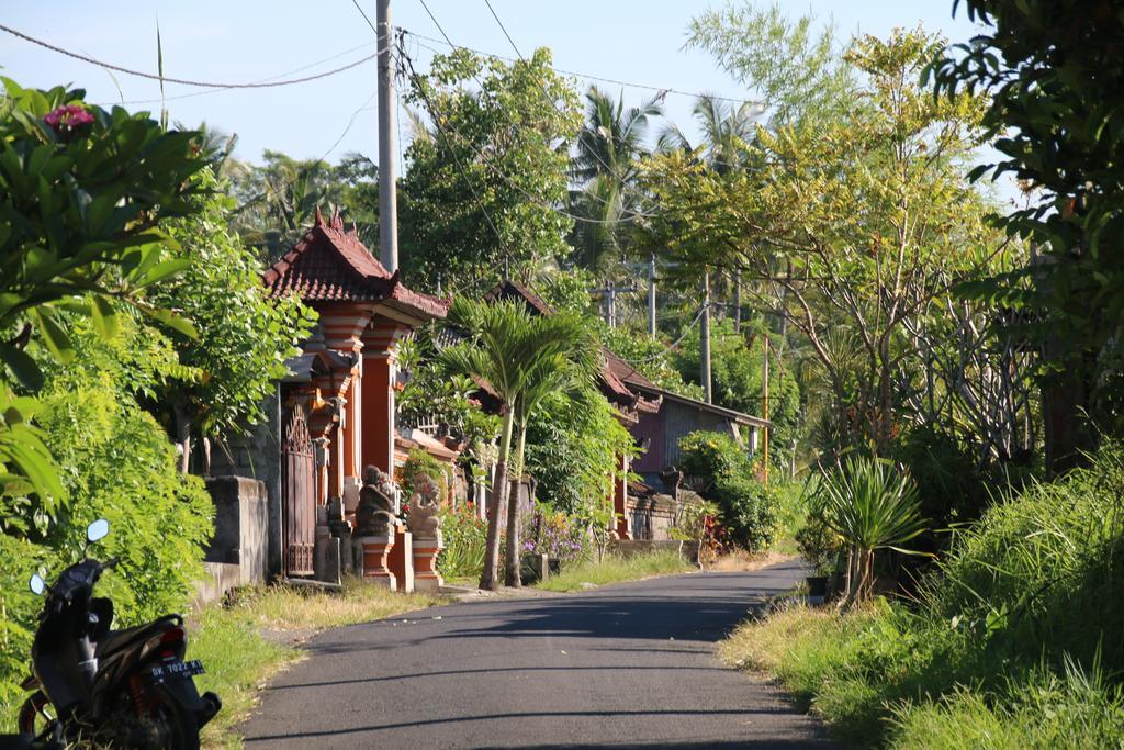 Pesantian Villa&warung By Ecommerceloka Ubud