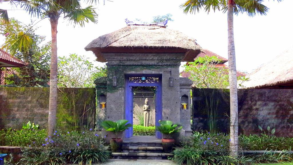 Viola Villa