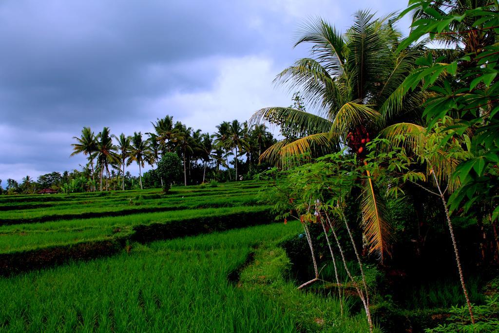 Ferienpark Junjungan