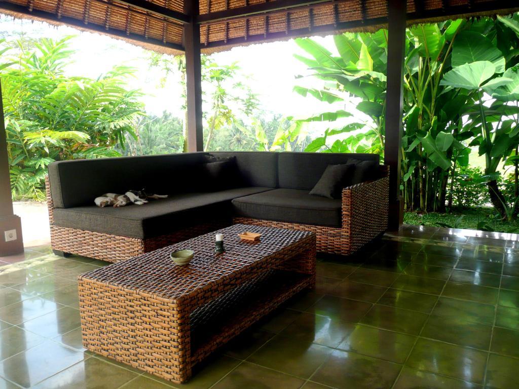 Viola * Ubud (Bali)