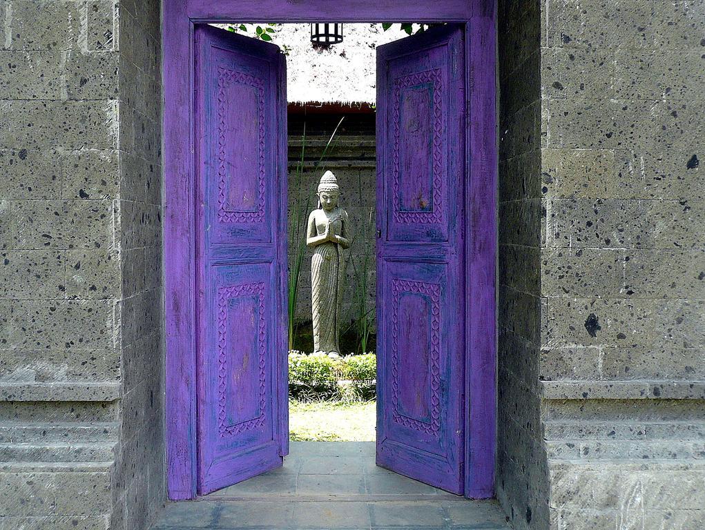 Viola Villa Ubud (Bali)