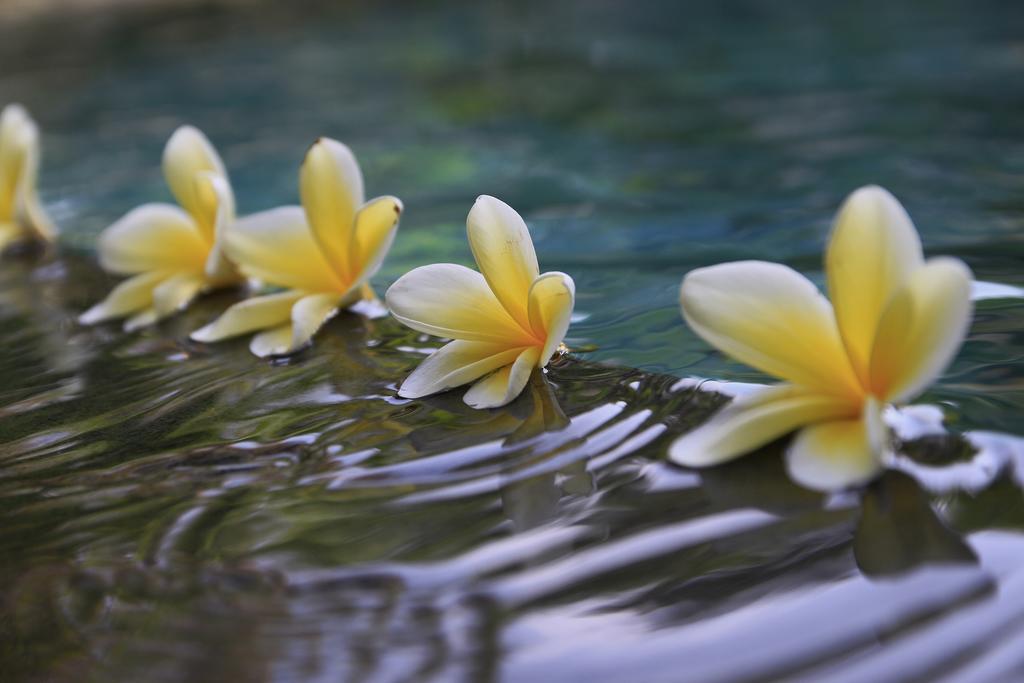 Syailendra Pousada Ubud