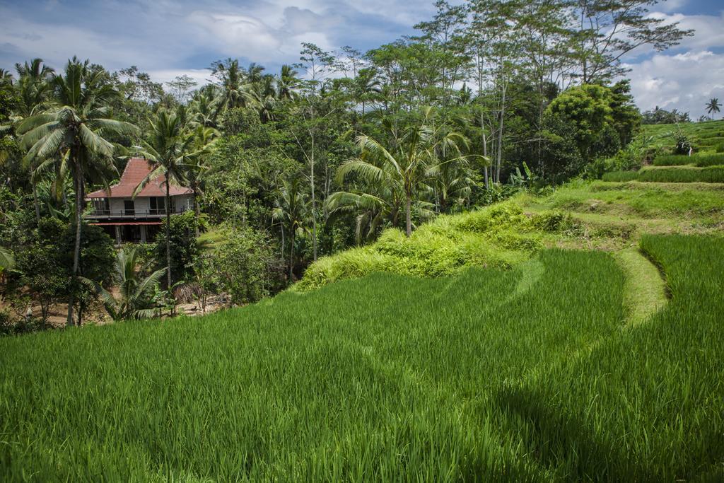 Be Bali *