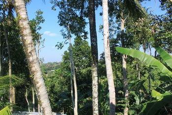 Shriman Yoga 2* Ubud (Bali)