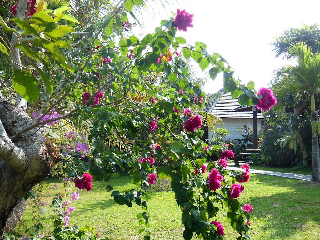Terang Bulan Ubud (Bali)
