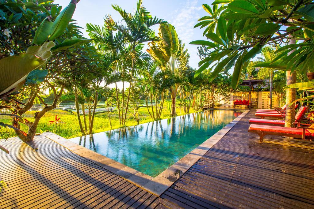 Bali Harmony