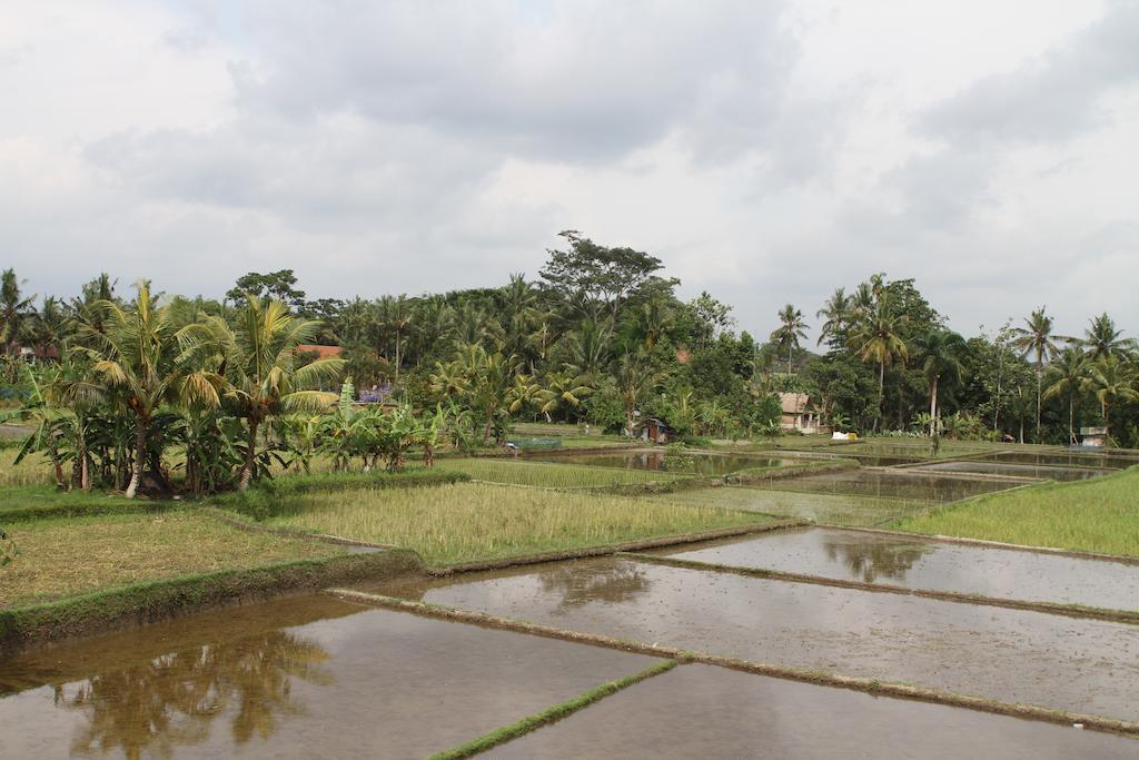 Villa Kami
