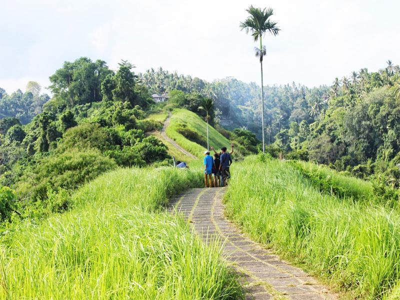 Homestay Tutick House