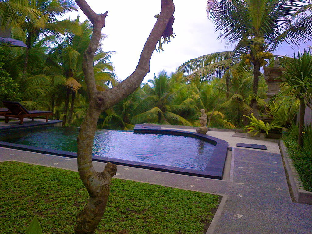 Dewa House Bisma