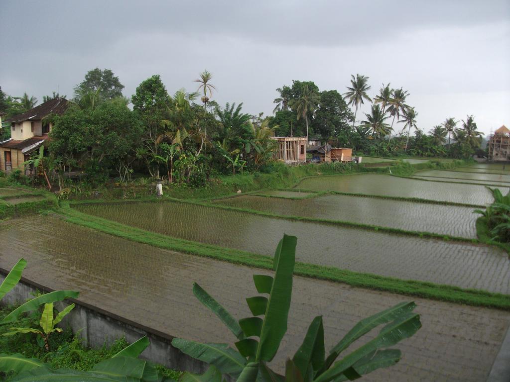 Inn Suwar