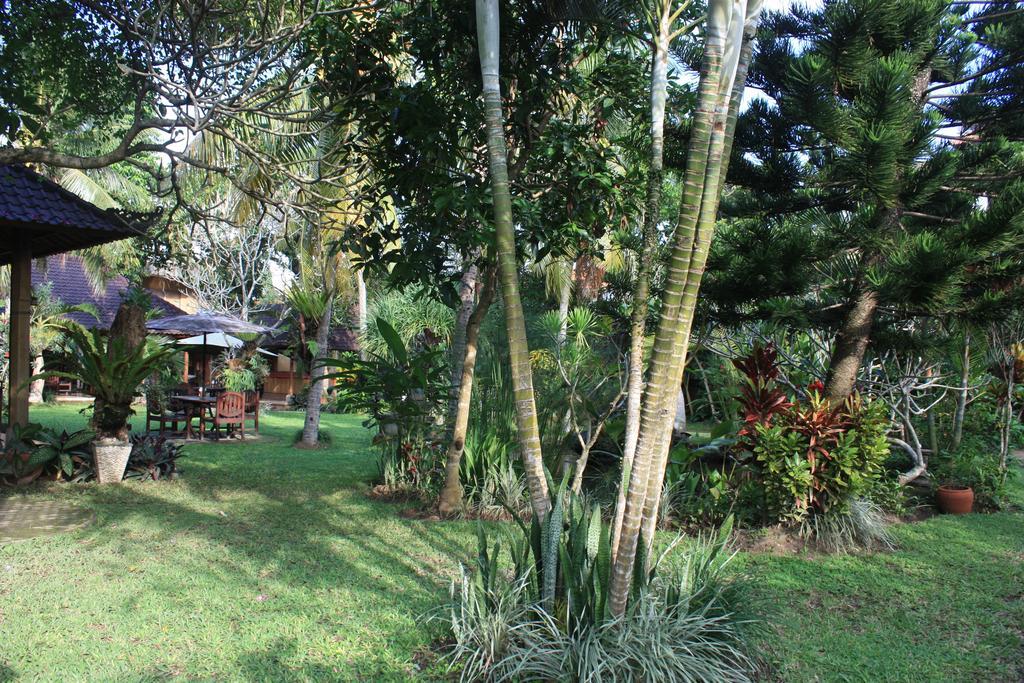 Wonder-land Ubud (Bali)