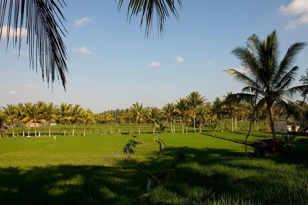 Puri Bebengan