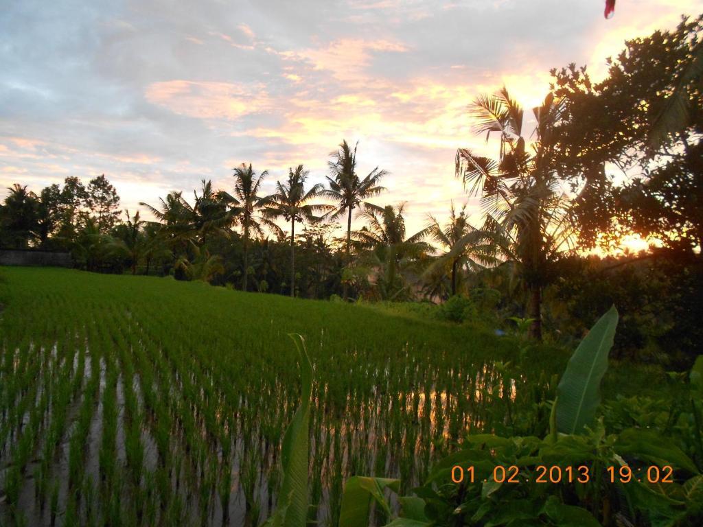 Taman liburan Jasmine 2*