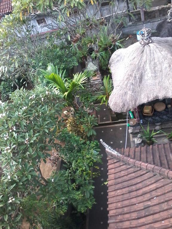 Homestay Tutick House *