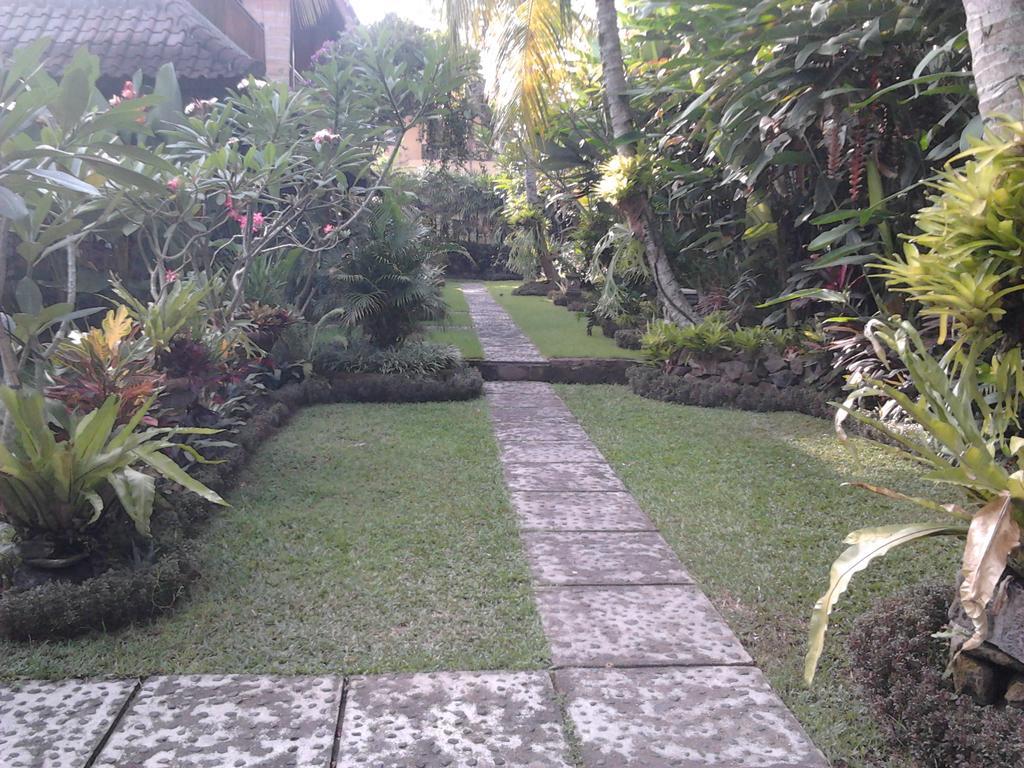 Guest house Rice Paddy Bungalow