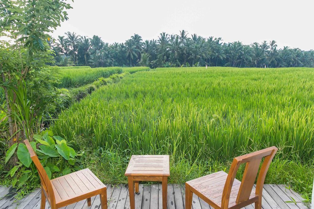 Solo & Retreat