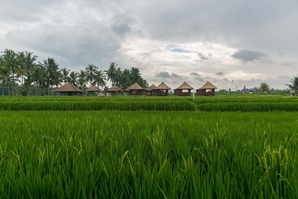 Bahay bakasyunan Solo & Retreat Ubud (Bali)
