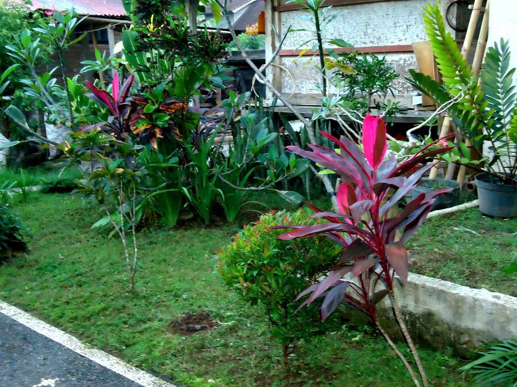 Guest house Dewa Put
