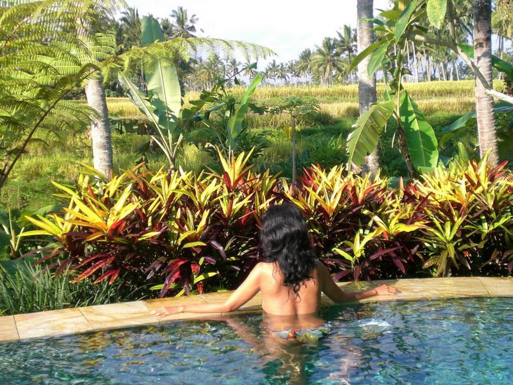 Orchid Bali Rumah percutian *