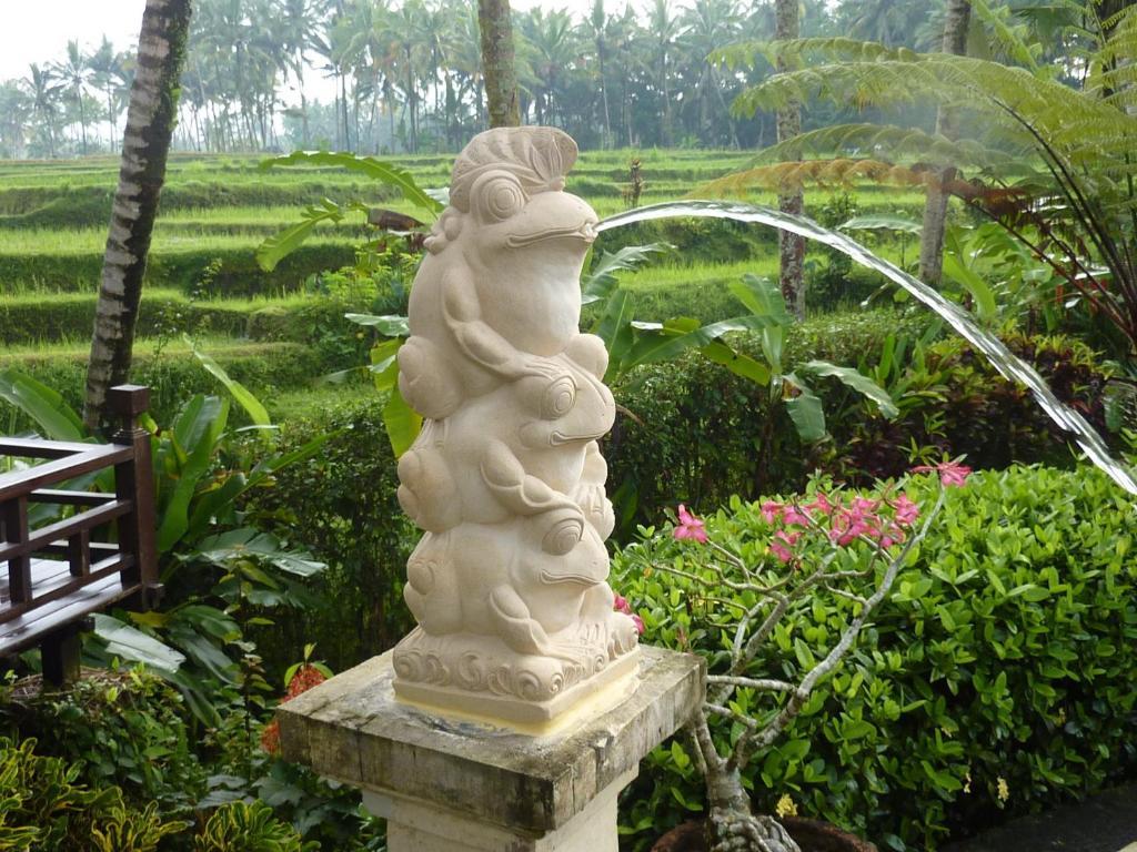 Rumah percutian Orchid Bali *