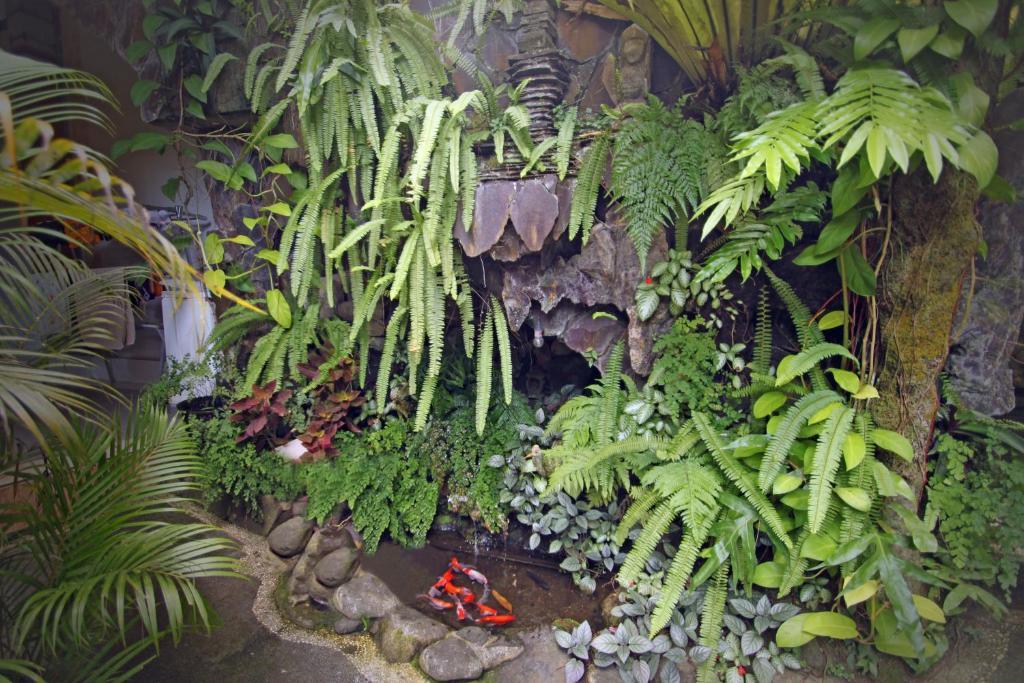 Accommodatie bij particulieren Praety Ubud