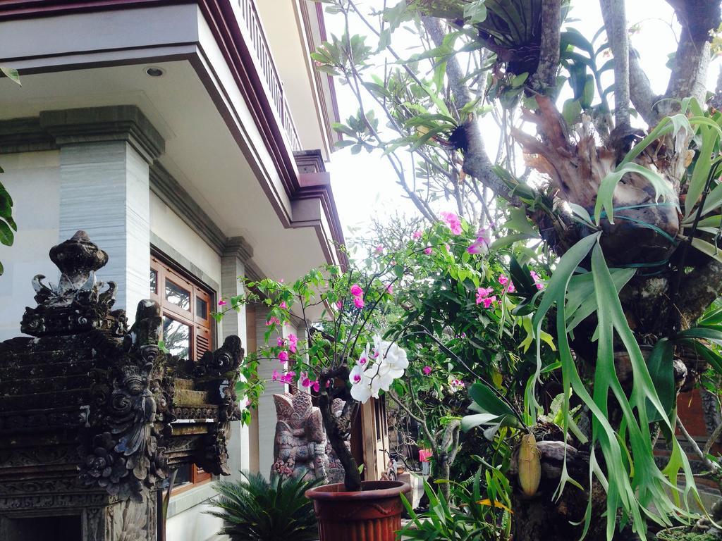 Pio Pio House