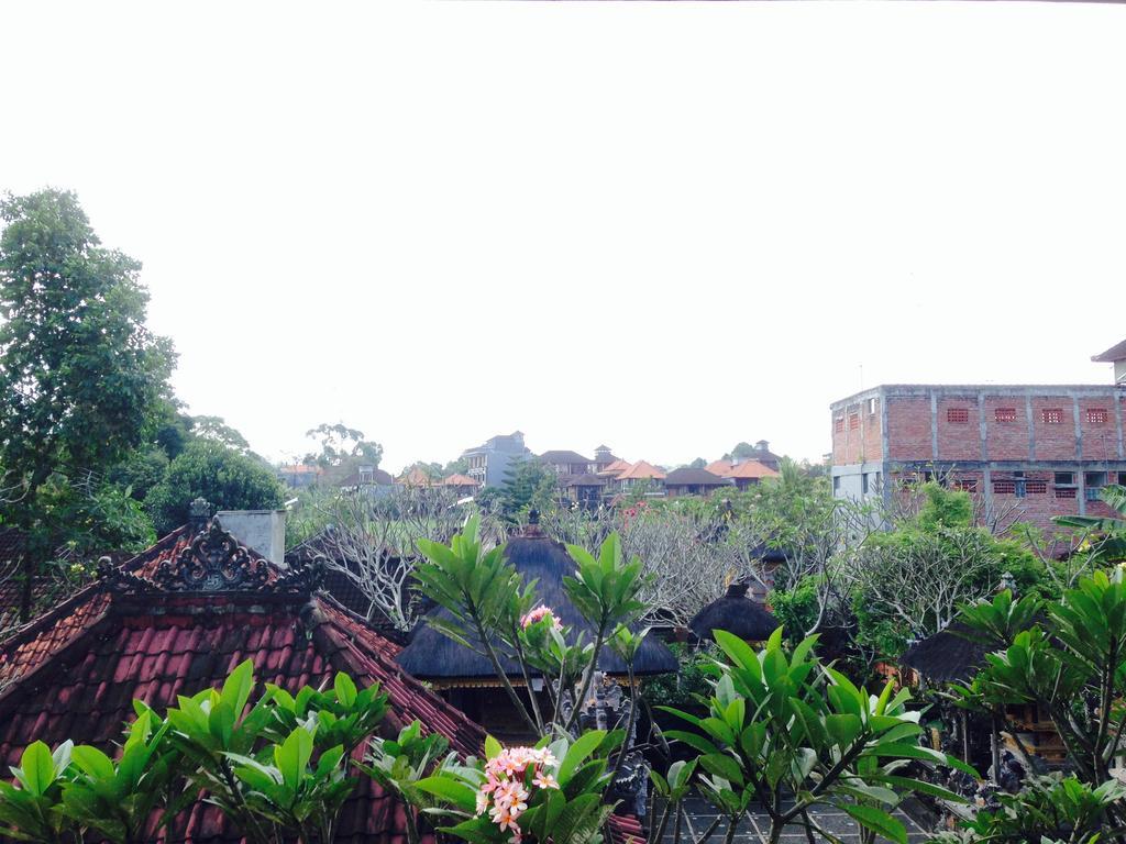 Pio Pio House