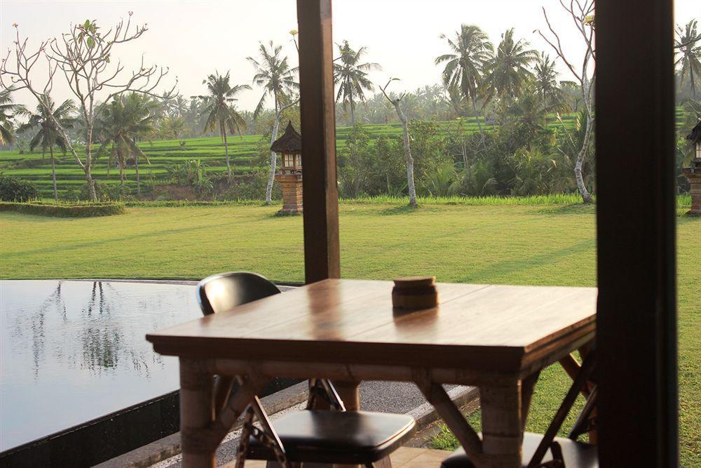 Bintang Pari