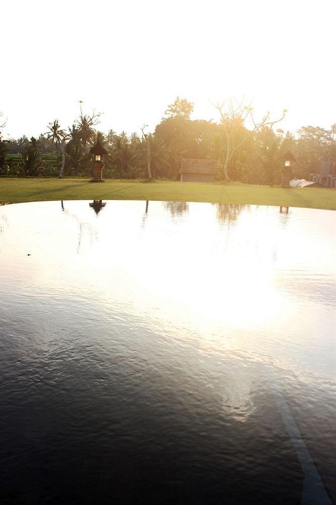 Bintang Pari Ubud