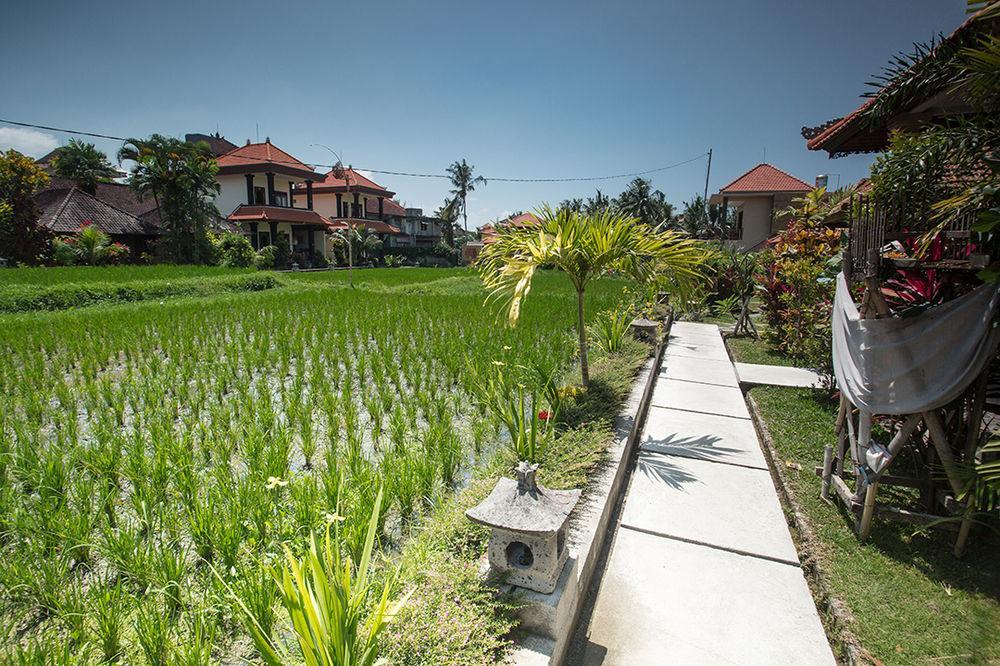 Puji And 3* Ubud