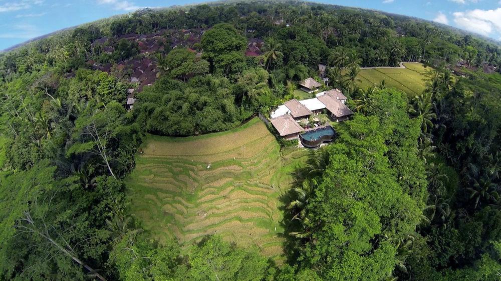 Amrita * Ubud