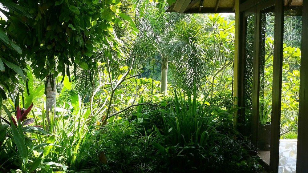 Umah Shanti * Ubud (Bali)