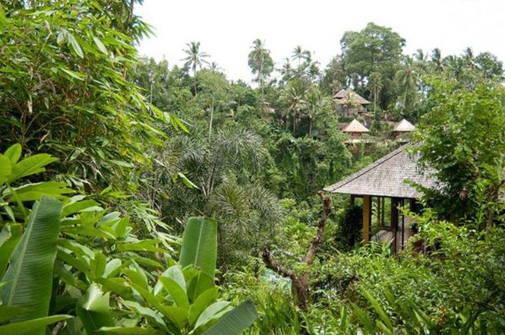 Umah Shanti Villa Ubud (Bali)