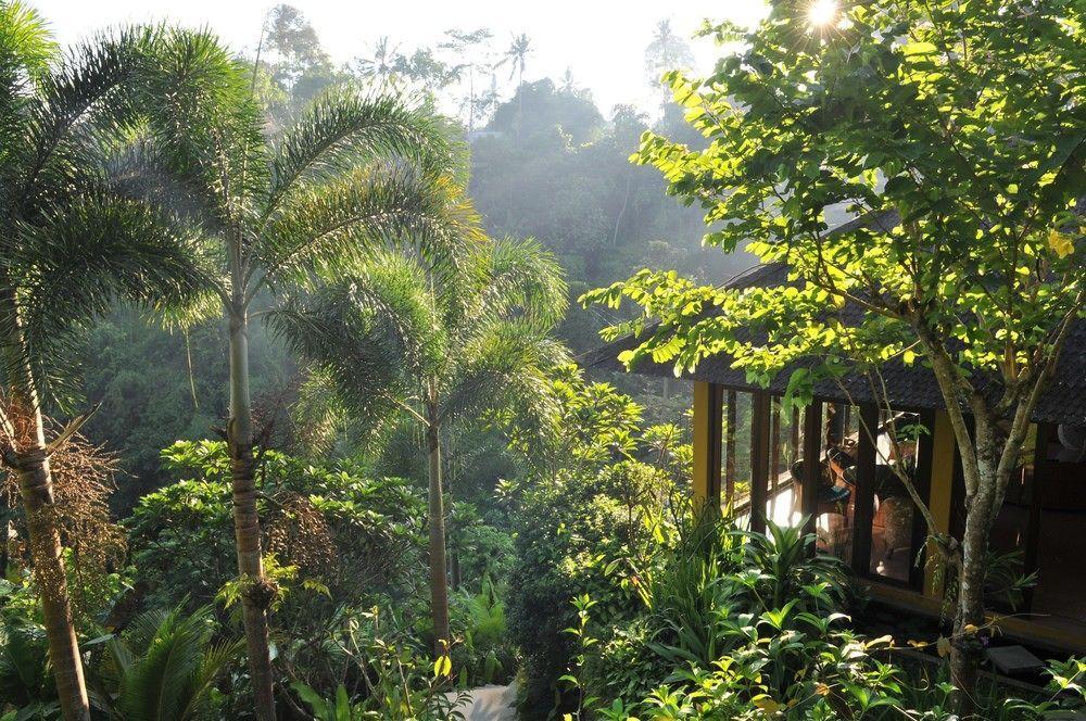 Umah Shanti * Ubud (Bali)