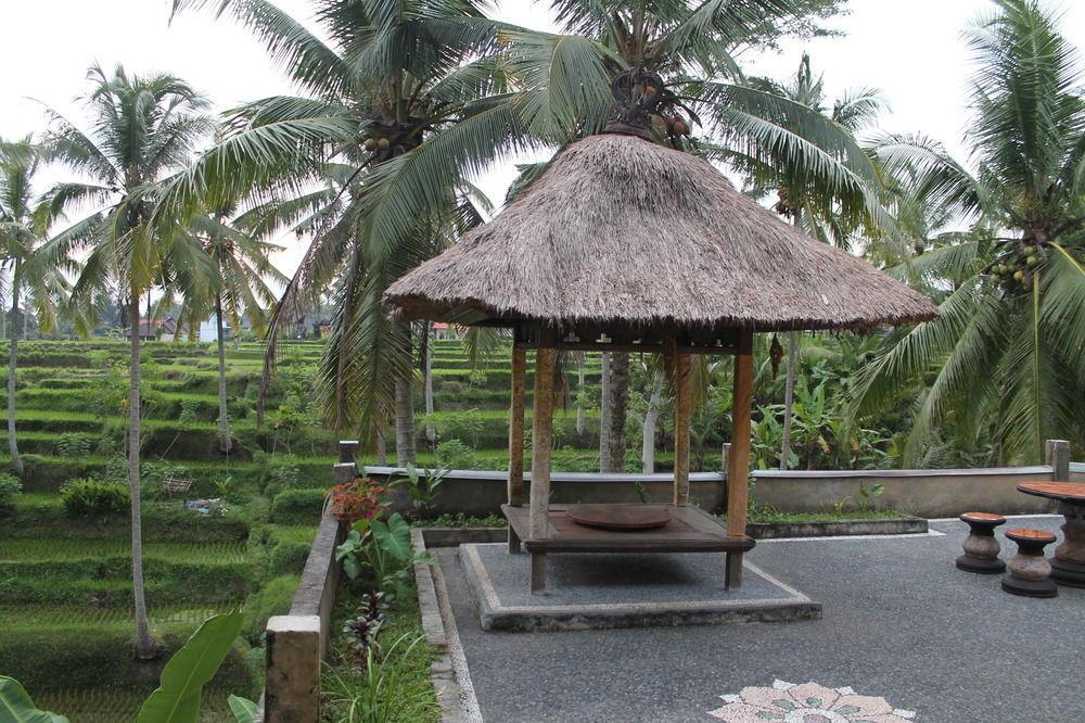 Junjungan Hotel&spa Wisma tamu