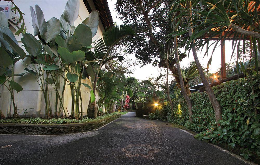 View 2* Ubud (Bali)