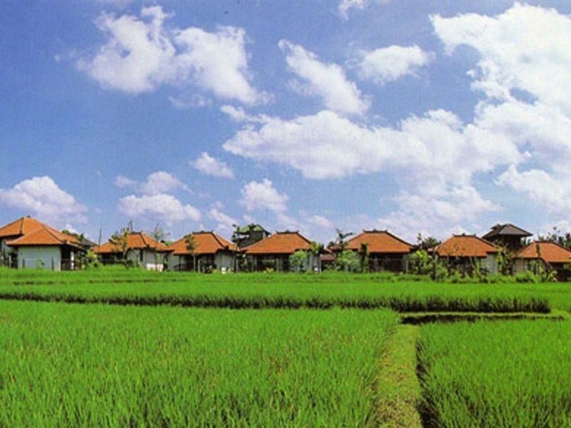 Vakantiepark Chempaka Ubud