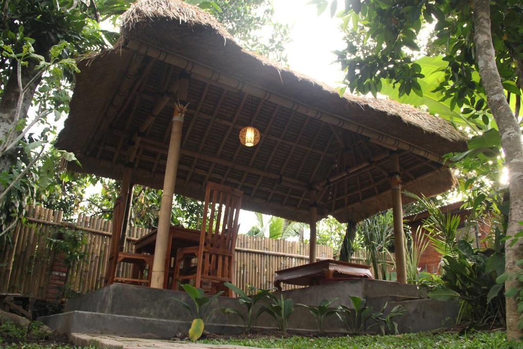 Guest house Ary House 2*
