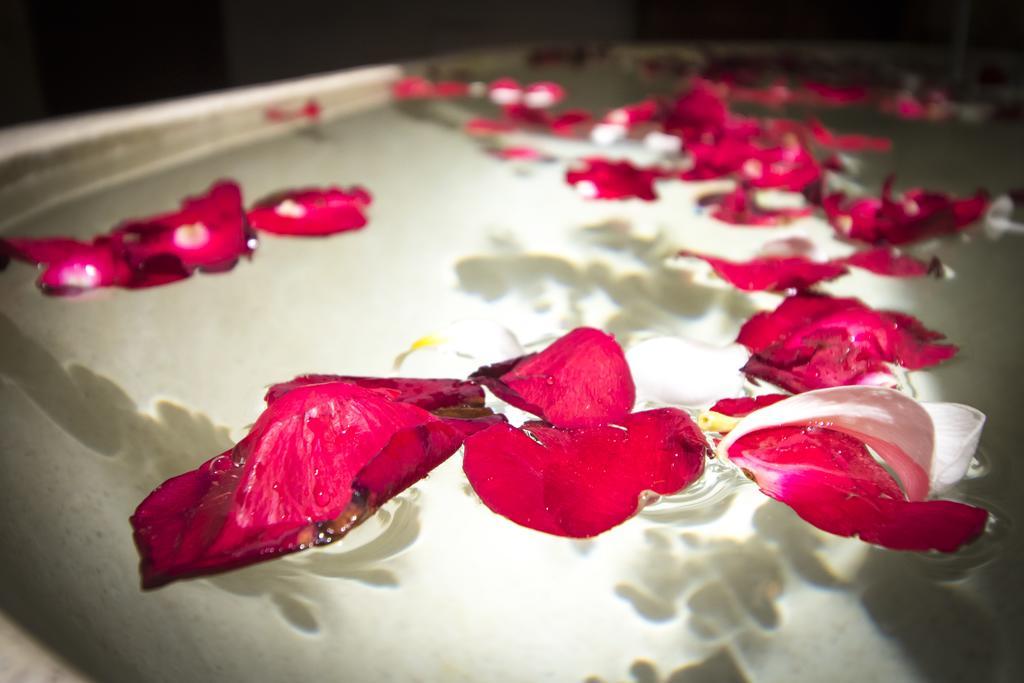 Villa Serenity & Ubud (Bali)