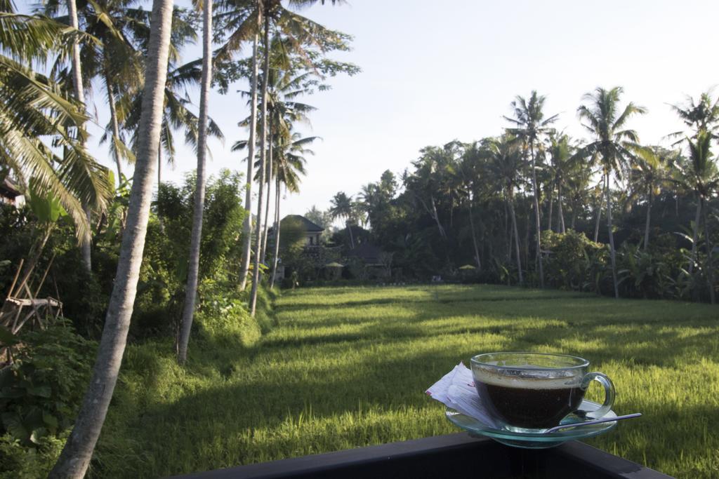 Villa Serenity &